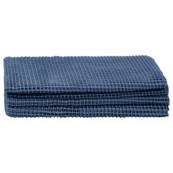 Tapis de tente 250x600 cm Bleu 