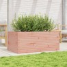 Jardinière 110x60x46 cm bois massif de douglas 