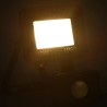 Projecteur à LED avec capteur 10 W Blanc chaud  