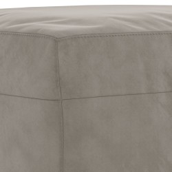 Banc Gris clair 100x35x41 cm Velours 