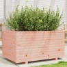 Jardinière 90x60x49,5 cm bois massif de douglas 