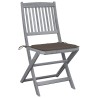 Chaises pliables d'extérieur lot de 2 et coussins Bois d'acacia 