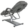 Table de massage Gris 180x62x(87-112) cm 