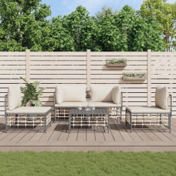 Salon de jardin 5 pcs avec coussins anthracite résine tressée 