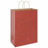Sacs en papier 250 pcs avec poignées rouge 32x17x44 cm 