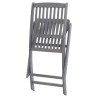 Chaises pliables d'extérieur lot de 8 et coussins Bois d'acacia 