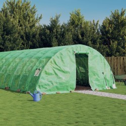 Serre avec cadre en acier vert 40 m² 8x5x2,3 m 