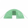 Serre avec cadre en acier vert 40 m² 8x5x2,3 m 