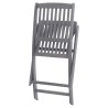 Chaises pliables d'extérieur lot de 8 et coussins Bois d'acacia 