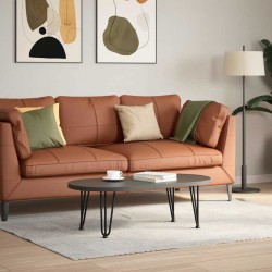 Pieds en épingle à cheveux pour table basse 4 pièces Noir 30 cm Acier massif 