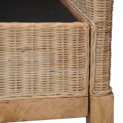 Fauteuil avec coussins Rotin naturel 