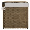Panier à linge avec couvercle 55,5x35x34 cm résine tressée 
