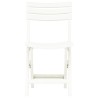 Chaises de jardin pliables lot de 2 Plastique Blanc 