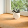 Appuis de fenêtre 2 pcs marron clair bois de chêne massif 