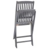 Chaises pliables d'extérieur lot de 4 et coussins Bois d'acacia 