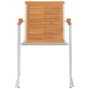 Chaises de jardin avec coussins lot de 2 Acacia solide et acier 