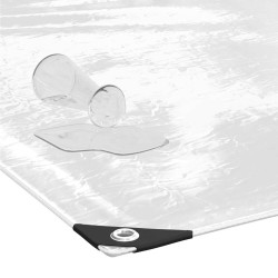 Bâche transparente avec œillets 2x3 m PVC 