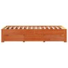 Cadre de lit sans matelas avec tiroirs 100x200 cm bois de pin 