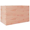 Jardinière 110x60x68,5 cm bois massif de douglas 