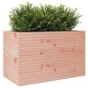 Jardinière 110x60x68,5 cm bois massif de douglas 