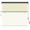 Store roulant d'extérieur 170 x 250 cm Crème 