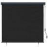 Store roulant d'extérieur 170 x 250 cm Anthracite 