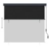 Store roulant d'extérieur 170 x 250 cm Anthracite 