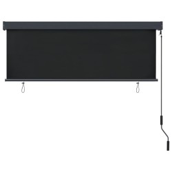 Store roulant d'extérieur 170 x 250 cm Anthracite 