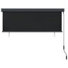 Store roulant d'extérieur 170 x 250 cm Anthracite 