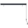 Store roulant d'extérieur 170 x 250 cm Anthracite 