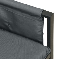 Salon de jardin 2 pcs anthracite acier 