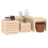Ensemble de boîtes de jardin 4 pcs bois de pin massif 