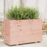 Jardinière 110x40x72 cm bois massif douglas 