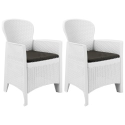 Chaise de jardin lot de 2 coussin Blanc Plastique Aspect rotin 