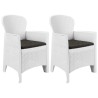 Chaise de jardin lot de 2 coussin Blanc Plastique Aspect rotin 