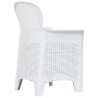 Chaise de jardin lot de 2 coussin Blanc Plastique Aspect rotin 