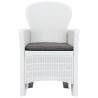 Chaise de jardin lot de 2 coussin Blanc Plastique Aspect rotin 