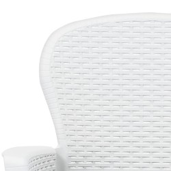 Chaise de jardin lot de 2 coussin Blanc Plastique Aspect rotin 
