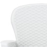 Chaise de jardin lot de 2 coussin Blanc Plastique Aspect rotin 