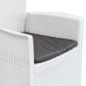 Chaise de jardin lot de 2 coussin Blanc Plastique Aspect rotin 