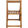 Chaises pliables de jardin lot de 2 Bois d'acacia solide 