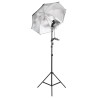 Kit de studio photo avec éclairage et toile de fond 