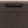 Boîte de stockage de jardin Marron 119x48x60 cm Polypropylène 