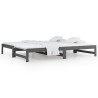 Lit coulissant sans matelas gris 2x(90x200) cm 