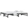 Lit coulissant sans matelas gris 2x(90x200) cm 