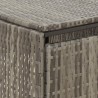 Abri pour poubelle double Gris 140x80x117 cm Résine tressée 