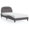 Cadre de lit avec LED sans matelas gris 100x200 cm 