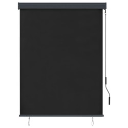 Store roulant d'extérieur 120 x 250 cm Anthracite 