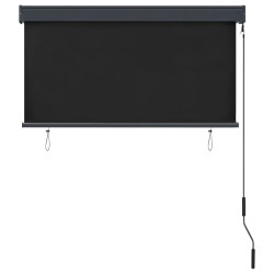 Store roulant d'extérieur 120 x 250 cm Anthracite 