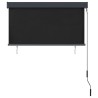 Store roulant d'extérieur 120 x 250 cm Anthracite 